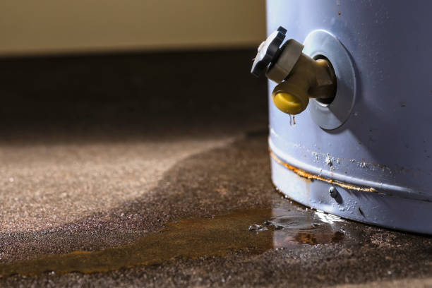 Best Local water damage restoration  in Lake Wales, FL