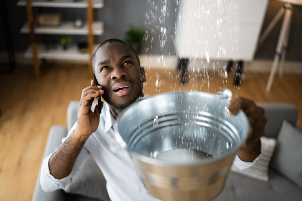 Best Mold removal after water damage  in Lake Wales, FL