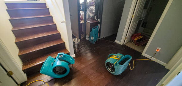 Best Ceiling water damage repair  in Lake Wales, FL