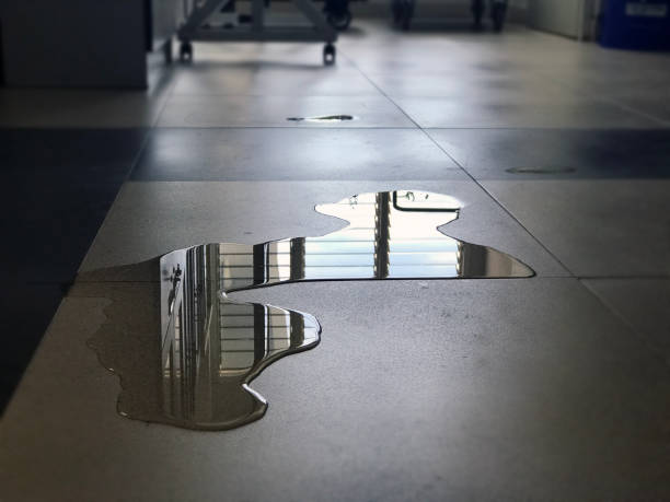 Best 24/7 water damage repair  in Lake Wales, FL