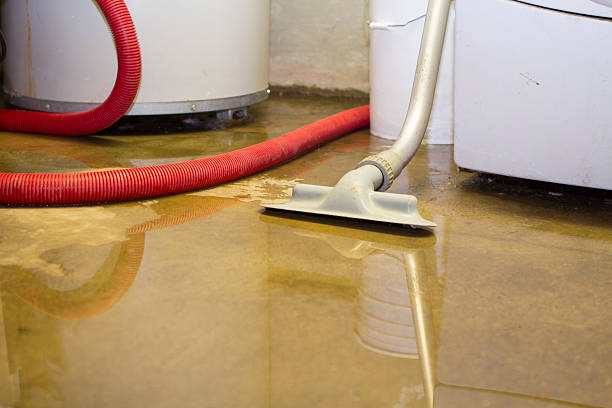 Carpet water damage restoration in Lake Wales, FL