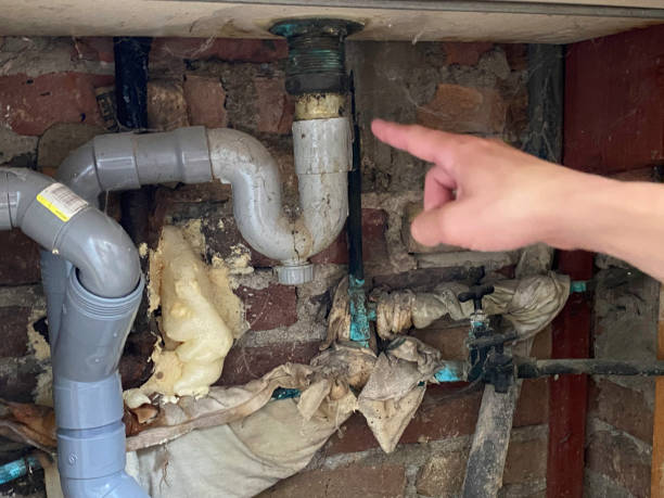 Best Professional water damage repair  in Lake Wales, FL