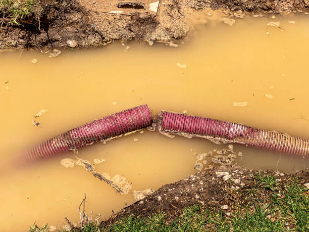 Best Basement water damage restoration  in Lake Wales, FL