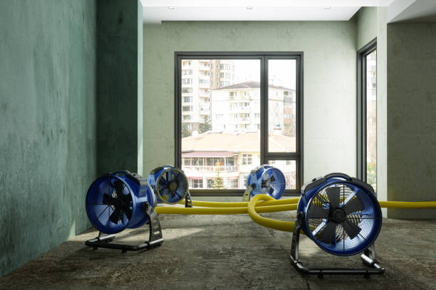 Best Carpet water damage restoration  in Lake Wales, FL